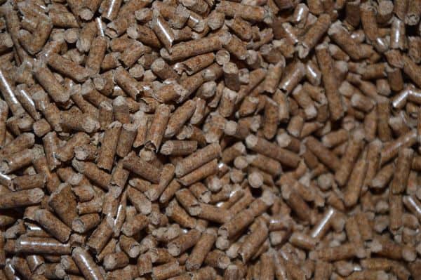 Can You Use Wood Pellets in an Electric Smoker 